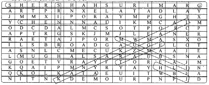 HBSE 10th Class Social Science Solutions Geography Chapter 7 राष्ट्रीय अर्थव्यवस्था की जीवन रेखाएँ 1