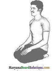 HBSE 9th Class Physical Education Solutions Chapter 5 योग का अर्थ, परिभाषा एवं महत्त्व