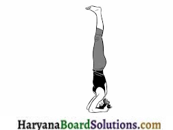 HBSE 9th Class Physical Education Solutions Chapter 5 योग का अर्थ, परिभाषा एवं महत्त्व