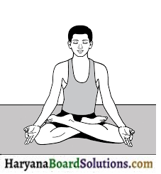 HBSE 9th Class Physical Education Solutions Chapter 5 योग का अर्थ, परिभाषा एवं महत्त्व