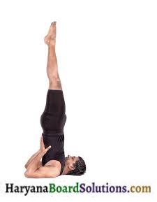 HBSE 9th Class Physical Education Solutions Chapter 5 योग का अर्थ, परिभाषा एवं महत्त्व