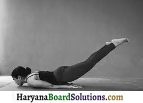 HBSE 9th Class Physical Education Solutions Chapter 1 स्वास्थ्य शिक्षा का अर्थ एवं महत्त्व 8