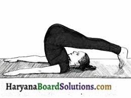 HBSE 9th Class Physical Education Solutions Chapter 5 योग का अर्थ, परिभाषा एवं महत्त्व
