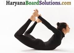HBSE 9th Class Physical Education Solutions Chapter 5 योग का अर्थ, परिभाषा एवं महत्त्व