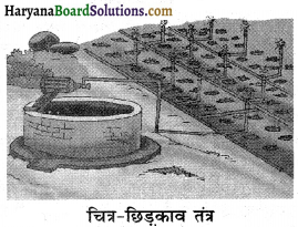 HBSE 8th Class Science Solutions Chapter 1 फसल उत्पादन एवं प्रबंध -1