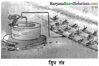 HBSE 8th Class Science Solutions Chapter 1 फसल उत्पादन एवं प्रबंध -2