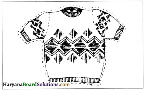 HBSE 10th Class Home Science Solutions Chapter 10 वस्त्रों की देखभाल 9