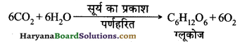 HBSE 10th Class Science Important Questions Chapter 1 रासायनिक अभिक्रियाएँ एवं समीकरण 10