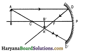 HBSE 10th Class Science Important Questions Chapter 10 प्रकाश-परावर्तन तथा अपवर्तन 16