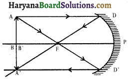 HBSE 10th Class Science Important Questions Chapter 10 प्रकाश-परावर्तन तथा अपवर्तन 17