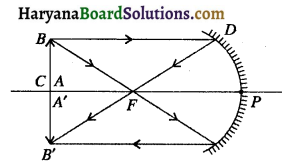 HBSE 10th Class Science Important Questions Chapter 10 प्रकाश-परावर्तन तथा अपवर्तन 24