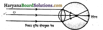 HBSE 10th Class Science Important Questions Chapter 11 मानव नेत्र एवं रंगबिरंगा संसार 5
