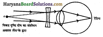 HBSE 10th Class Science Important Questions Chapter 11 मानव नेत्र एवं रंगबिरंगा संसार 6