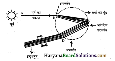HBSE 10th Class Science Important Questions Chapter 11 मानव नेत्र एवं रंगबिरंगा संसार 8