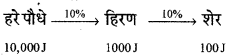 HBSE 10th Class Science Important Questions Chapter 15 हमारा पर्यावरण 1