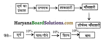 HBSE 10th Class Science Important Questions Chapter 15 हमारा पर्यावरण 2