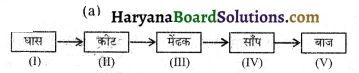 HBSE 10th Class Science Important Questions Chapter 15 हमारा पर्यावरण 3