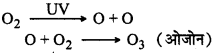 HBSE 10th Class Science Important Questions Chapter 15 हमारा पर्यावरण 5