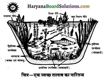 HBSE 10th Class Science Important Questions Chapter 15 हमारा पर्यावरण 6