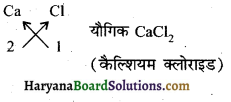 HBSE 10th Class Science Important Questions Chapter 5 तत्वों का आवर्त वर्गीकरण 10