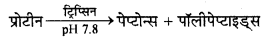 HBSE 10th Class Science Important Questions Chapter 6 जैव प्रक्रम 16