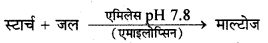HBSE 10th Class Science Important Questions Chapter 6 जैव प्रक्रम 18
