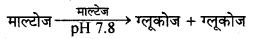 HBSE 10th Class Science Important Questions Chapter 6 जैव प्रक्रम 21