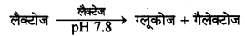 HBSE 10th Class Science Important Questions Chapter 6 जैव प्रक्रम 22