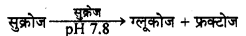 HBSE 10th Class Science Important Questions Chapter 6 जैव प्रक्रम 23