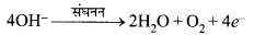 HBSE 10th Class Science Important Questions Chapter 6 जैव प्रक्रम 8