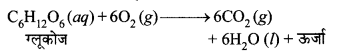 HBSE 10th Class Science Solutions Chapter 1 रासायनिक अभिक्रियाएँ एवं समीकरण 1
