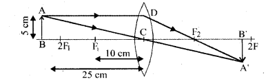 HBSE 10th Class Science Solutions Chapter 10 प्रकाश-परावर्तन तथा अपवर्तन 3