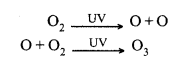 HBSE 10th Class Science Solutions Chapter 15 हमारा पर्यावरण 1