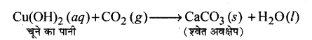 HBSE 10th Class Science Solutions Chapter 2 अम्ल, क्षारक एवं लवण 7