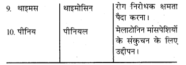 HBSE 10th Class Science Solutions Chapter 7 नियंत्रण एवं समन्वय 4