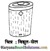 HBSE 6th Class Science Solutions Chapter 12 विद्युत तथा परिपथ -12