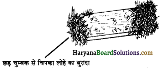 HBSE 6th Class Science Solutions Chapter 13 चुंबकों द्वारा मनोरंजन -3