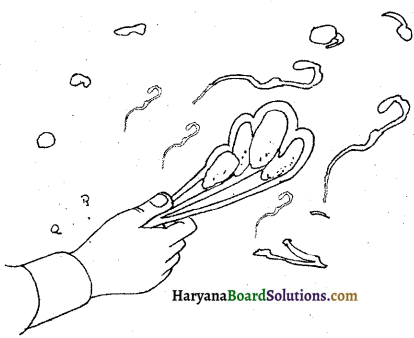 HBSE 6th Class Science Solutions Chapter 16 कचरा संग्रहण एवं निपटान -1