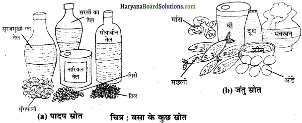 HBSE 6th Class Science Solutions Chapter 2 भोजन के घातक -2