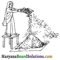 HBSE 6th Class Science Solutions Chapter 5 पदार्थों का पृथक्करण -1