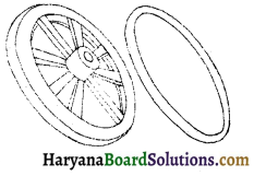 HBSE 6th Class Science Solutions Chapter 6 हमारे चारों ओर के परिवर्तन -1
