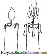 HBSE 6th Class Science Solutions Chapter 6 हमारे चारों ओर के परिवर्तन -2