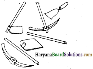 HBSE 6th Class Science Solutions Chapter 6 हमारे चारों ओर के परिवर्तन -3