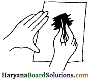 HBSE 6th Class Science Solutions Chapter 7 पौधों को जानिए -2