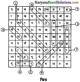 HBSE 7th Class Science Solutions Chapter 10 जीवों में श्वसन -2