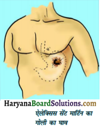HBSE 7th Class Science Solutions Chapter 2 प्राणियों में पोषण -12