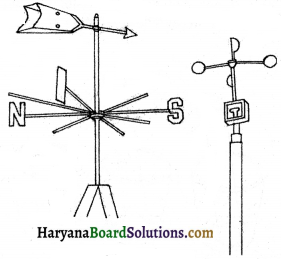 HBSE 7th Class Science Solutions Chapter 8 पवन, तूफ़ान और चक्रवात -1