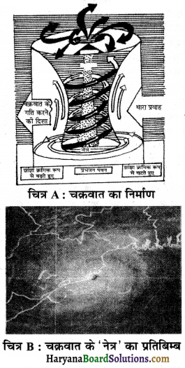 HBSE 7th Class Science Solutions Chapter 8 पवन, तूफ़ान और चक्रवात -3