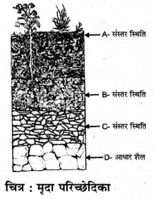 HBSE 7th Class Science Solutions Chapter 9 मृदा -1