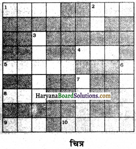 HBSE 7th Class Science Solutions Chapter 9 मृदा -3